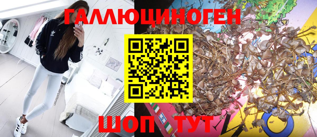Псилоцибиновые грибы Psilocybine cubensis  Вход с VPN  Добрянка  Галлюциногенные грибы Psilocybine cubensis 