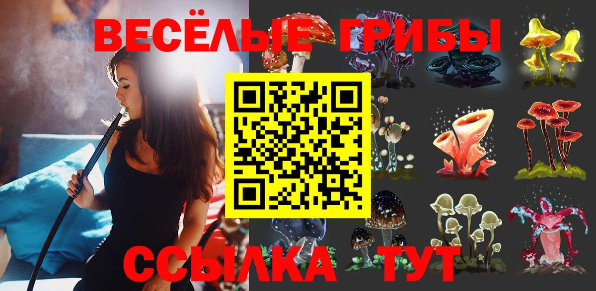 Галлюциногенные грибы Psilocybe Добрянка